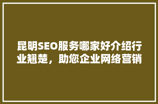 昆明SEO服务哪家好介绍行业翘楚，助您企业网络营销腾飞