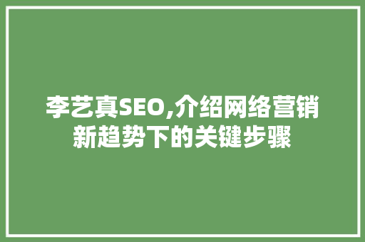 李艺真SEO,介绍网络营销新趋势下的关键步骤