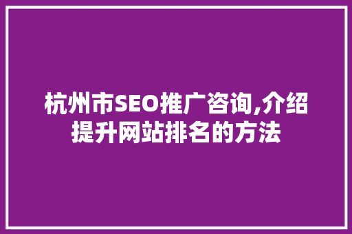 杭州市SEO推广咨询,介绍提升网站排名的方法