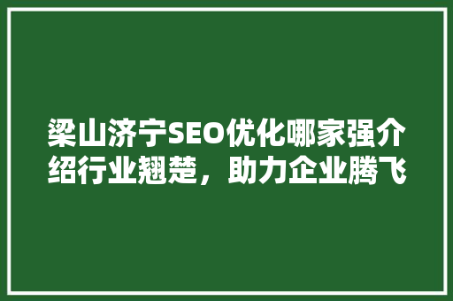 梁山济宁SEO优化哪家强介绍行业翘楚，助力企业腾飞