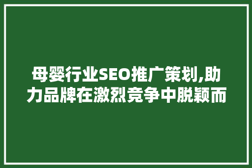 母婴行业SEO推广策划,助力品牌在激烈竞争中脱颖而出