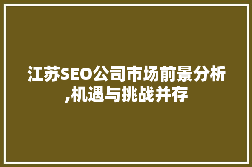 江苏SEO公司市场前景分析,机遇与挑战并存