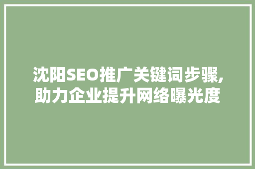 沈阳SEO推广关键词步骤,助力企业提升网络曝光度