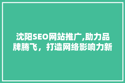 沈阳SEO网站推广,助力品牌腾飞，打造网络影响力新格局