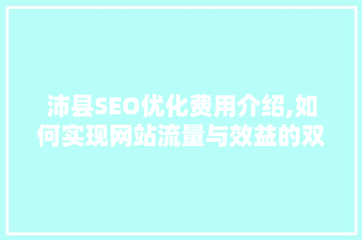 沛县SEO优化费用介绍,如何实现网站流量与效益的双丰收