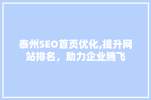 泰州SEO首页优化,提升网站排名，助力企业腾飞