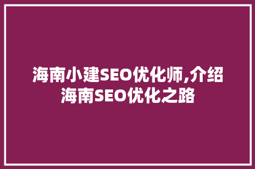 海南小建SEO优化师,介绍海南SEO优化之路