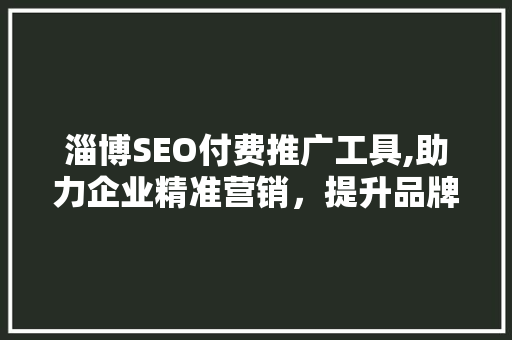 淄博SEO付费推广工具,助力企业精准营销，提升品牌影响力