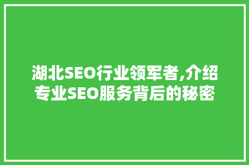 湖北SEO行业领军者,介绍专业SEO服务背后的秘密
