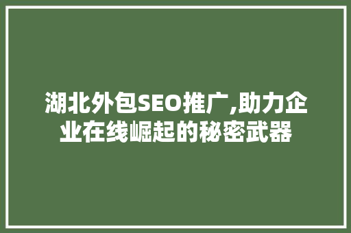 湖北外包SEO推广,助力企业在线崛起的秘密武器