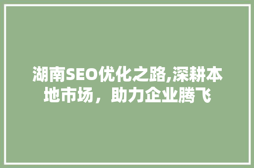湖南SEO优化之路,深耕本地市场，助力企业腾飞