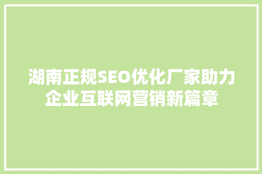 湖南正规SEO优化厂家助力企业互联网营销新篇章