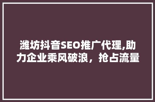 潍坊抖音SEO推广代理,助力企业乘风破浪，抢占流量高地