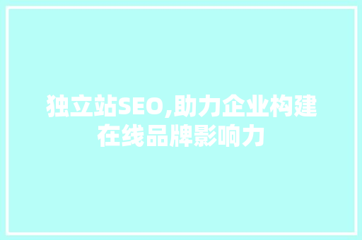独立站SEO,助力企业构建在线品牌影响力
