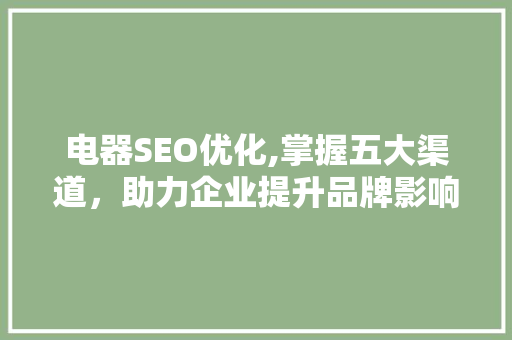 电器SEO优化,掌握五大渠道，助力企业提升品牌影响力