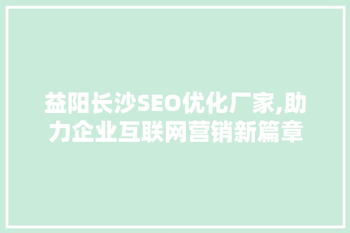 益阳长沙SEO优化厂家,助力企业互联网营销新篇章