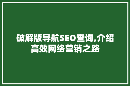 破解版导航SEO查询,介绍高效网络营销之路