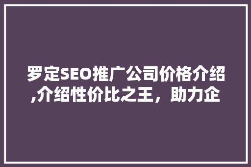 罗定SEO推广公司价格介绍,介绍性价比之王，助力企业腾飞