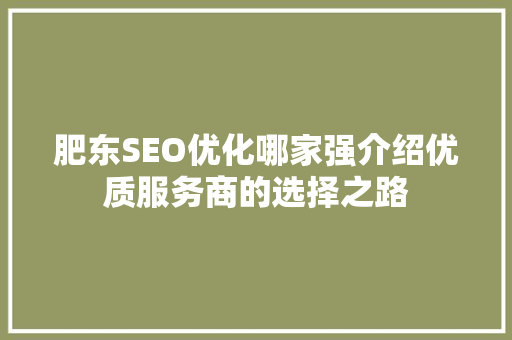 肥东SEO优化哪家强介绍优质服务商的选择之路