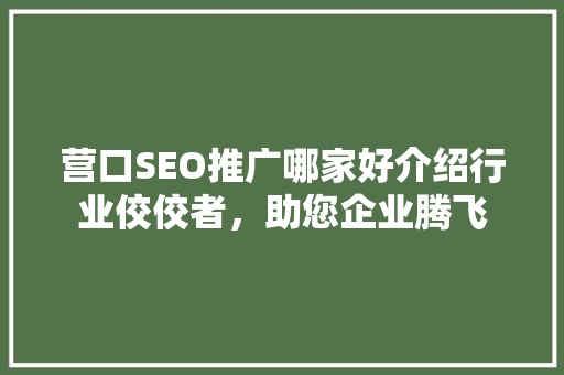 营口SEO推广哪家好介绍行业佼佼者，助您企业腾飞