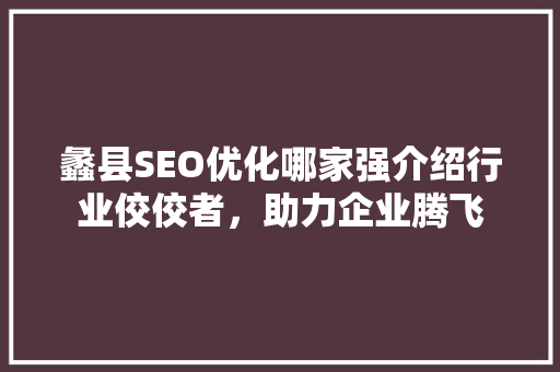 蠡县SEO优化哪家强介绍行业佼佼者，助力企业腾飞