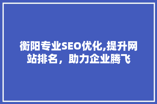 衡阳专业SEO优化,提升网站排名，助力企业腾飞