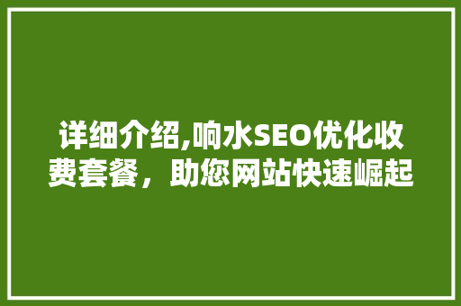 详细介绍,响水SEO优化收费套餐，助您网站快速崛起
