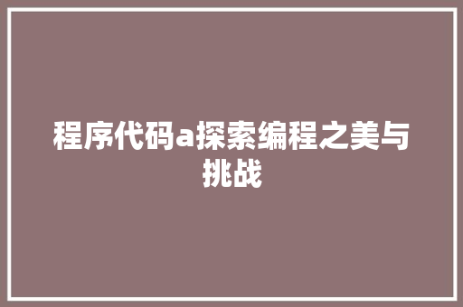 程序代码a探索编程之美与挑战