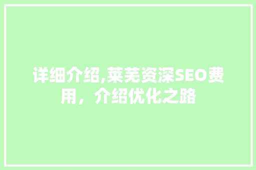 详细介绍,莱芜资深SEO费用，介绍优化之路