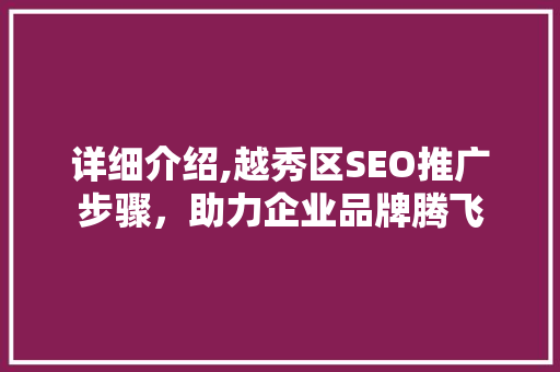 详细介绍,越秀区SEO推广步骤，助力企业品牌腾飞