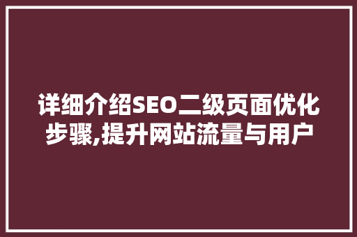 详细介绍SEO二级页面优化步骤,提升网站流量与用户转化