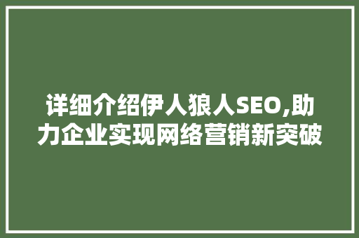 详细介绍伊人狼人SEO,助力企业实现网络营销新突破