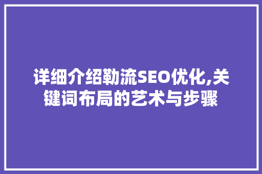详细介绍勒流SEO优化,关键词布局的艺术与步骤