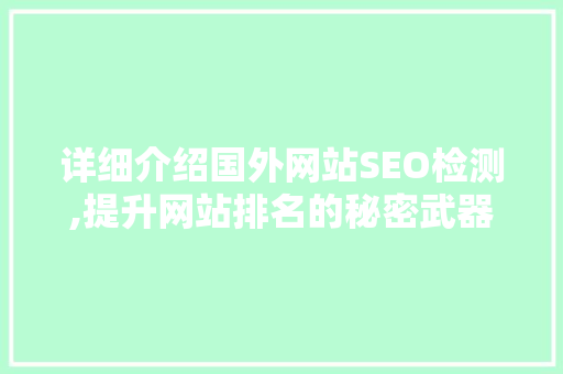 详细介绍国外网站SEO检测,提升网站排名的秘密武器