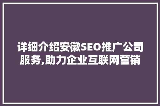 详细介绍安徽SEO推广公司服务,助力企业互联网营销腾飞