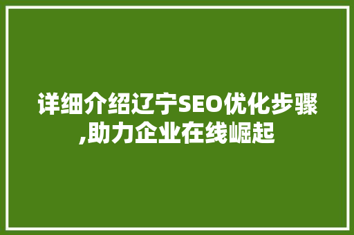 详细介绍辽宁SEO优化步骤,助力企业在线崛起