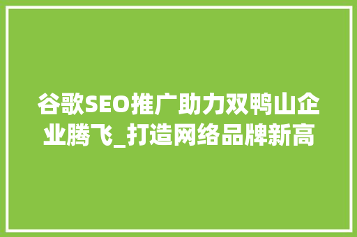 谷歌SEO推广助力双鸭山企业腾飞_打造网络品牌新高度