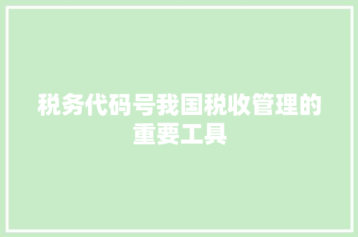税务代码号我国税收管理的重要工具