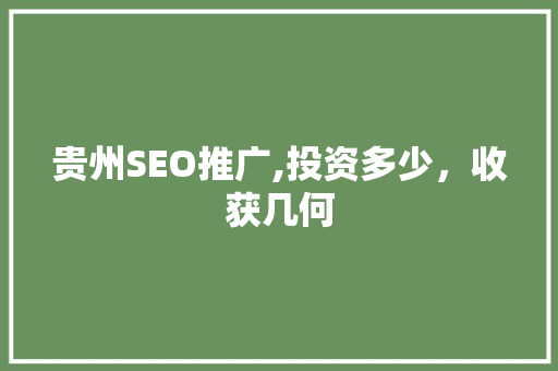 贵州SEO推广,投资多少，收获几何