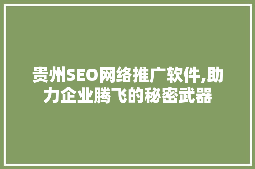 贵州SEO网络推广软件,助力企业腾飞的秘密武器