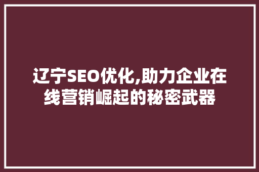 辽宁SEO优化,助力企业在线营销崛起的秘密武器