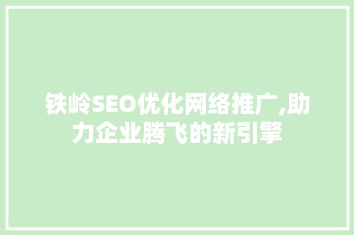 铁岭SEO优化网络推广,助力企业腾飞的新引擎