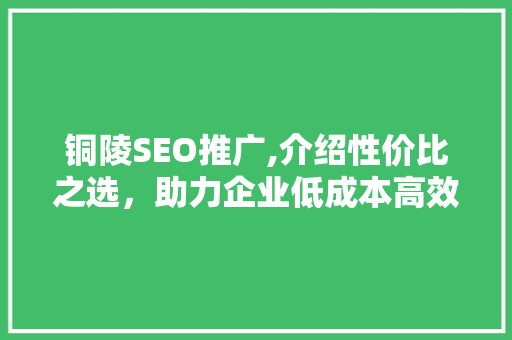 铜陵SEO推广,介绍性价比之选，助力企业低成本高效率营销