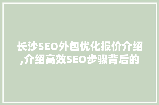 长沙SEO外包优化报价介绍,介绍高效SEO步骤背后的价值