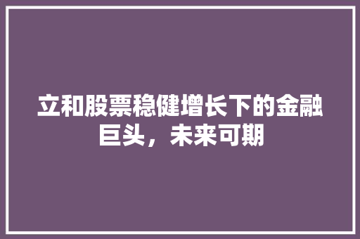 立和股票稳健增长下的金融巨头，未来可期