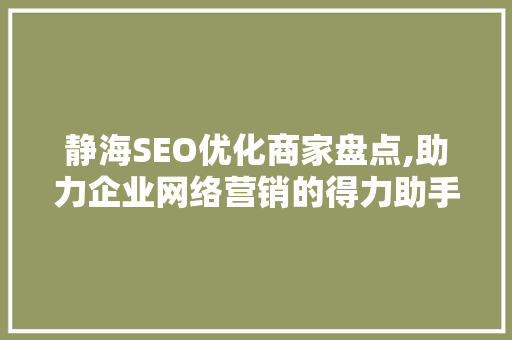静海SEO优化商家盘点,助力企业网络营销的得力助手