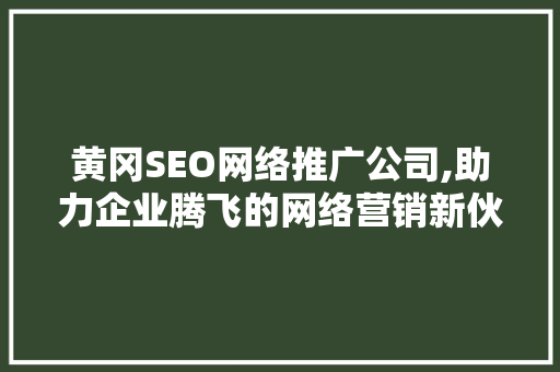 黄冈SEO网络推广公司,助力企业腾飞的网络营销新伙伴