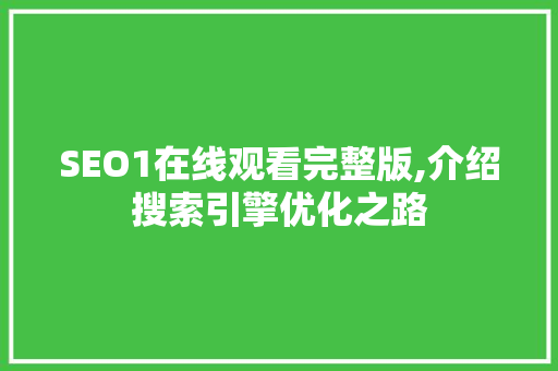 SEO1在线观看完整版,介绍搜索引擎优化之路