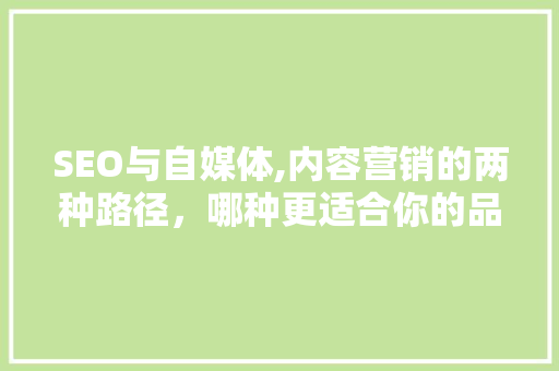 SEO与自媒体,内容营销的两种路径，哪种更适合你的品牌