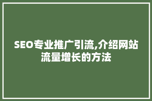 SEO专业推广引流,介绍网站流量增长的方法
